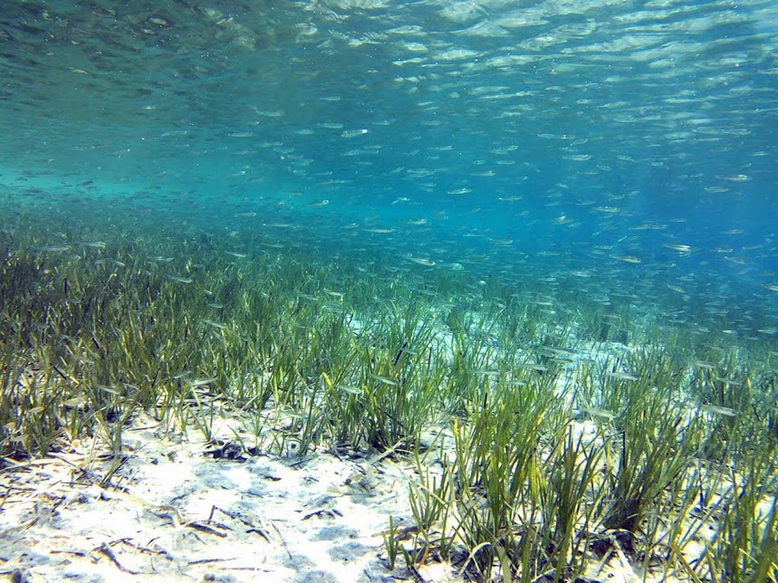 Milos Underwater